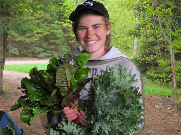 Natalie with chard and kale destined for the Wakefield farmer's market / Natalie avec de la bette-a-carde et du chou-kale pour le marché de Wakefield