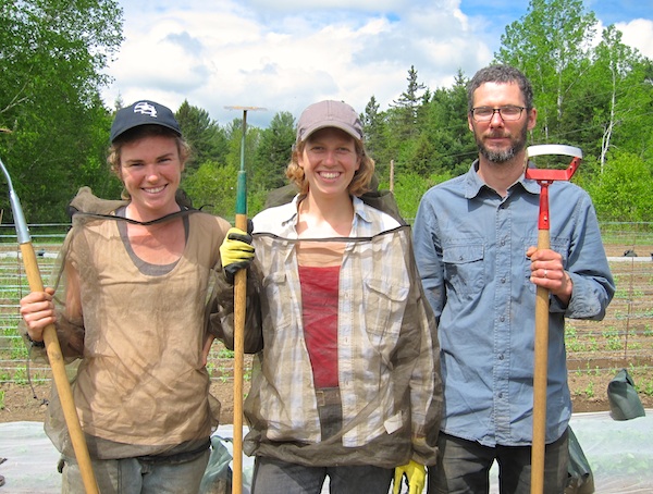 Natalie, Heather and Richard with their favourite weeding tools / Natalie, Heather et Richard avec leurs outils de desherbage préférés.